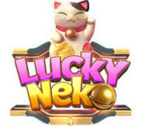 Hoki Togel: Angka Mimpi Kucing Jadi Kunci Kemenangan